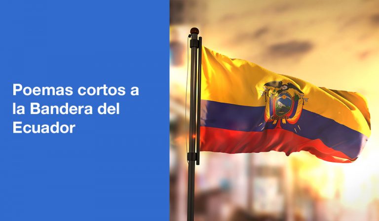 Poemas Cortos A La Bandera Del Ecuador Descubre La Esencia De